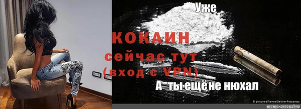прущие крисы Пересвет