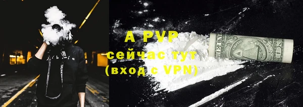 прущие крисы Пересвет