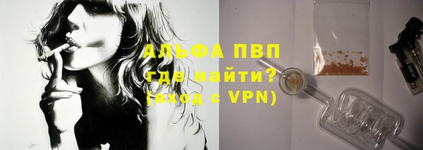 прущие крисы Пересвет