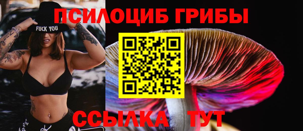 Галлюциногенные грибы прущие грибы Кропоткин